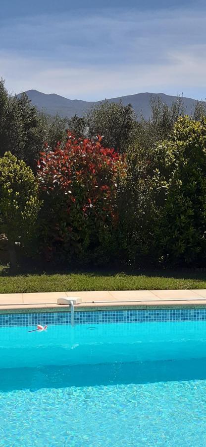 Albitreccia Studio 5Min Plage Agosta מראה חיצוני תמונה